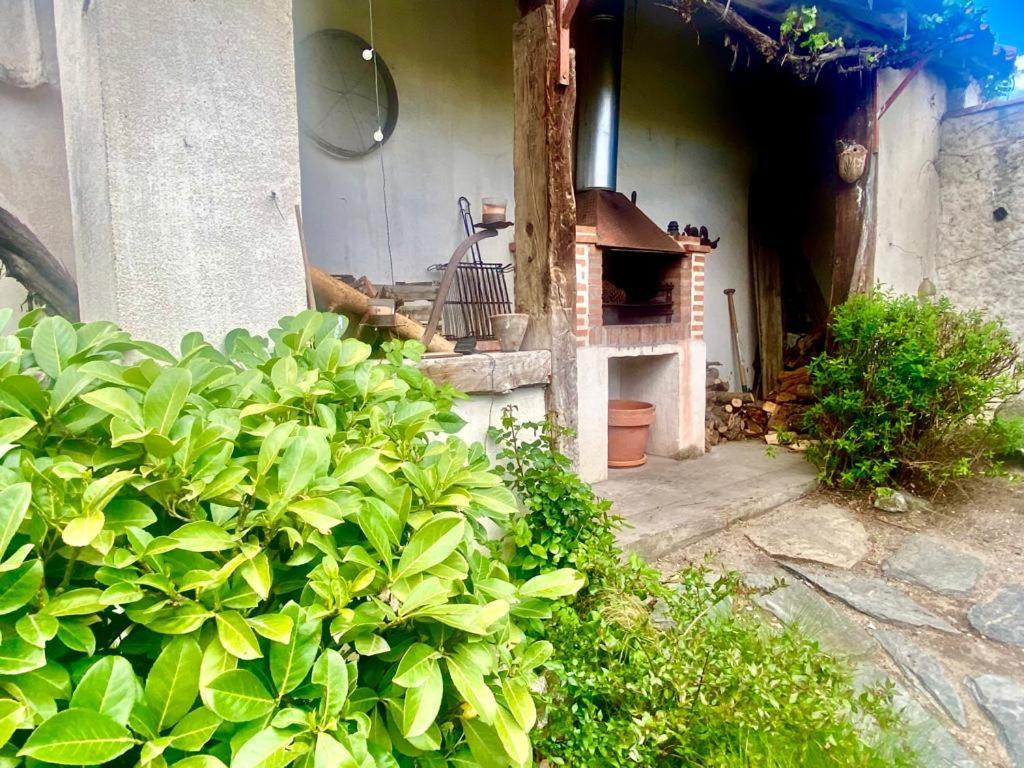 Casa Jardin El Arco Villa Coca Dış mekan fotoğraf
