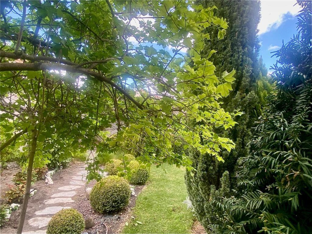 Casa Jardin El Arco Villa Coca Dış mekan fotoğraf